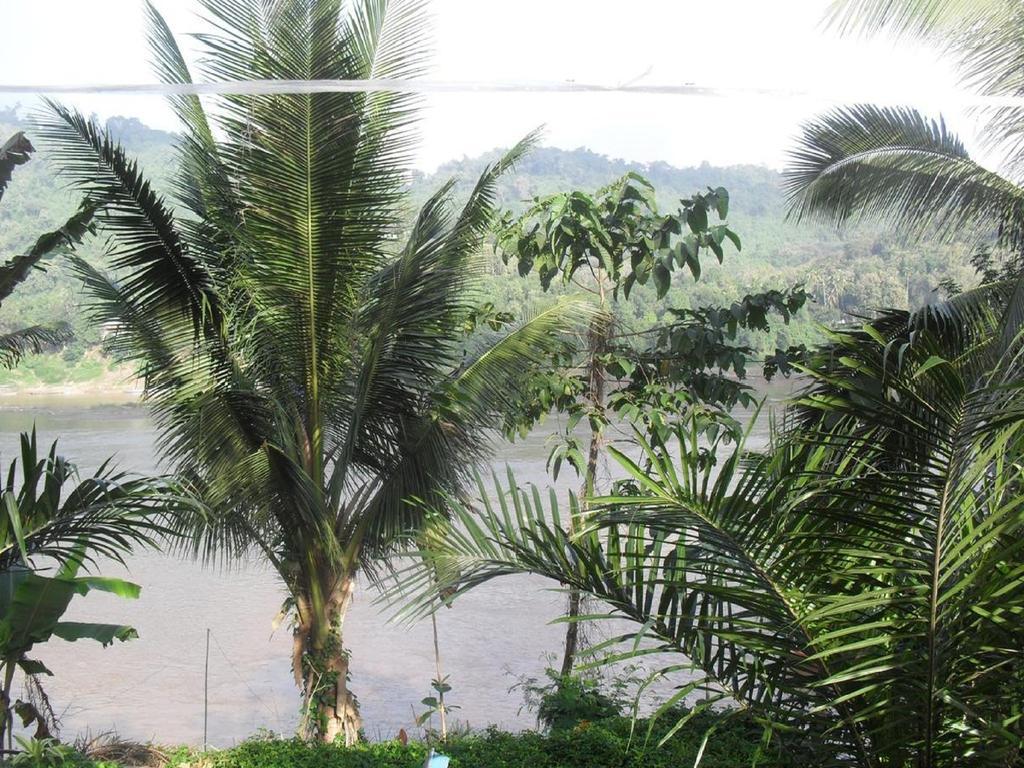 Sayo River Hotel Luang Prabang Bagian luar foto